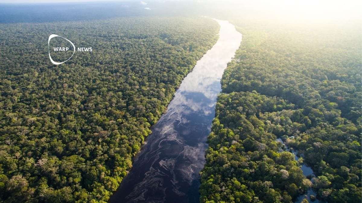 image for 🌳 Deforestation in the Amazon reaches lowest level since 2018