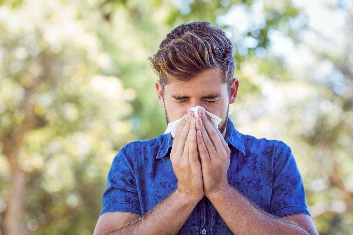image for Florida man sneezes his intestines out of his body at restaurant