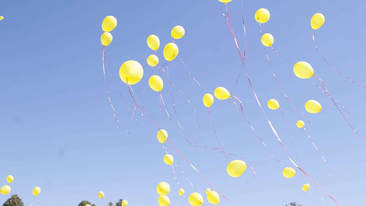 image for DeSantis signs bill banning intentional releases of balloons in Florida