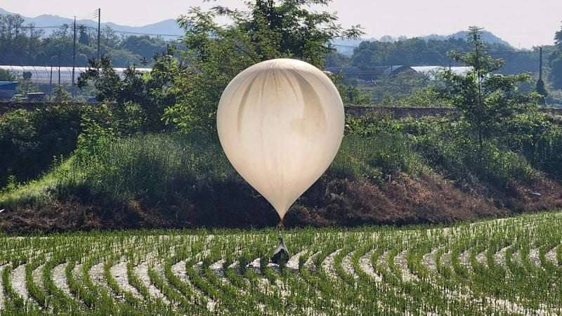 image for South Korean military says 350 waste balloons detected from North Korea overnight as tensions flare