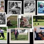 image for The dogs of every president since JFK.