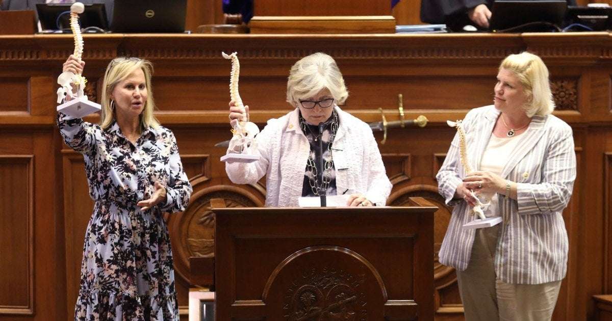 image for Three female GOP state senators who filibustered S.C. abortion ban lost their primaries