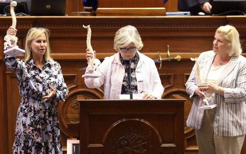 image for Three female GOP state senators who filibustered S.C. abortion ban lost their primaries