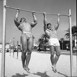 image for Arnold Schwarzenegger has a friendly pull up competition with another man, 1960s.