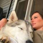 image for he's a rescue and normally very skittish but fell asleep on me for the first time earlier