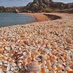 image for Seashell beach in Spain