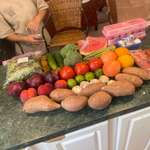 image for $100 farmers market run