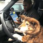 image for My dog is 16, so I figured it’s time for some driving lessons
