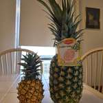 image for Pineapple grown in my balcony Vs Pineapple from the supermarket
