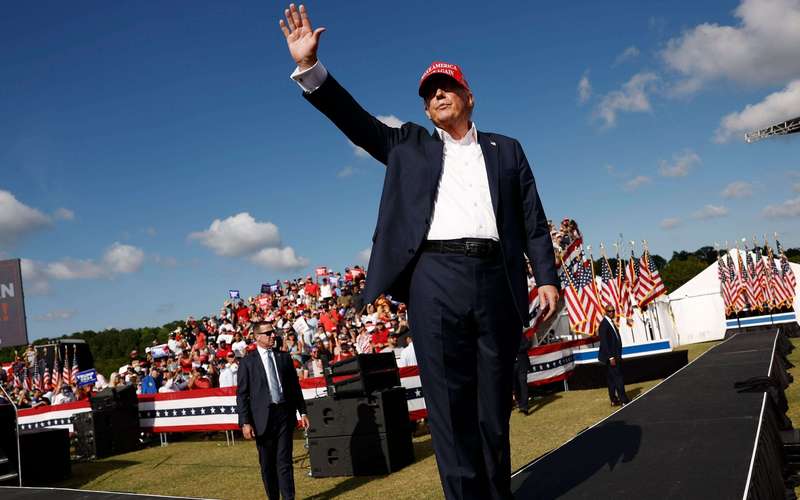 image for Biden? Harris? I don't care. Stopping Trump and Project 2025 is all that matters.