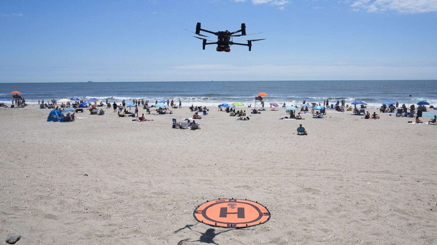 image for Angry birds fight drones on patrol for sharks and swimmers on NYC beaches