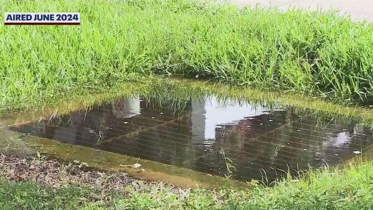 image for Florida woman faces lawsuit, code violation after filling storm drain with concrete, court records show