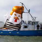image for "Chicken Trump" being sent to Alcatraz prison