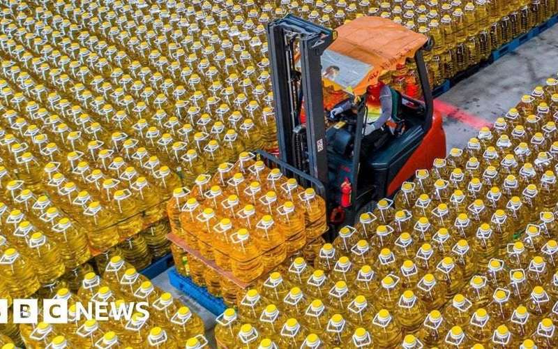 image for China rocked by cooking oil contamination scandal