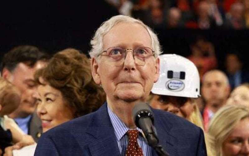 image for Sen. Mitch McConnell Booed at Republican National Convention