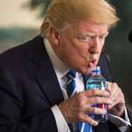 image for Donald Trump taking a sip of water