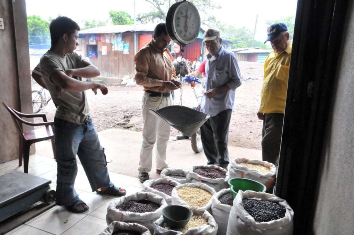 image for With prices soaring, 86.8% of Nicaraguans cannot afford to buy essentials