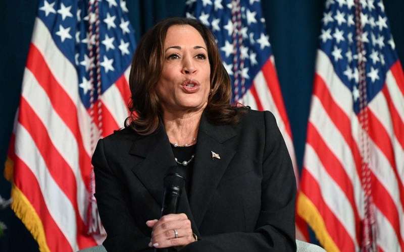 image for Democrats see Kamala Harris as the ‘only choice’