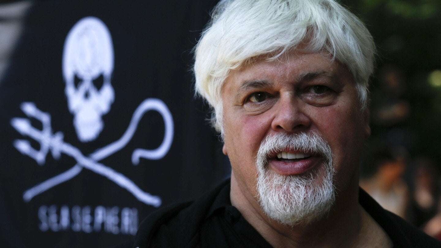 image for Anti-whaling campaigner arrested in Greenland and police say he may be extradited to Japan