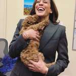 image for Kamala Harris holding a dog
