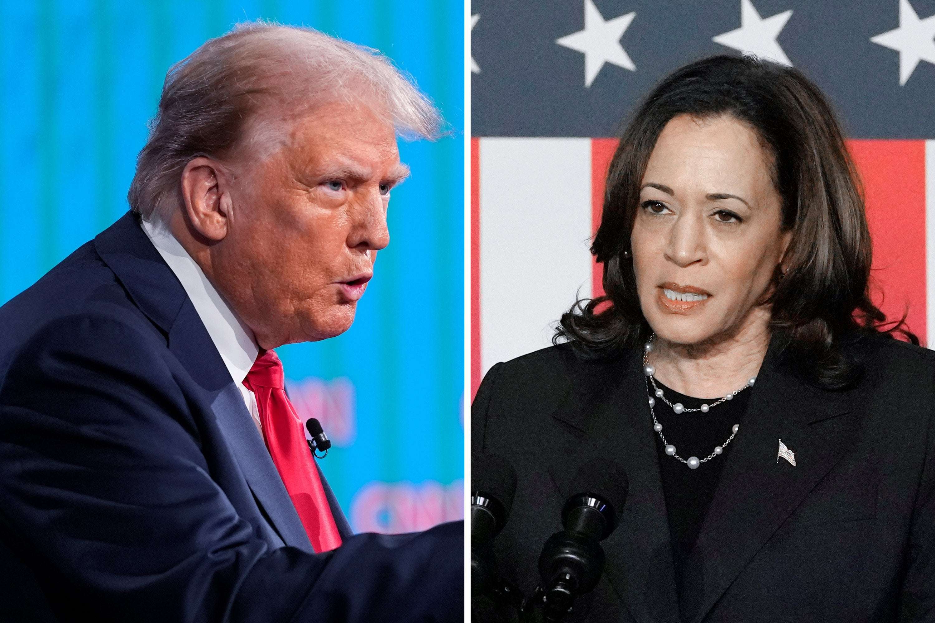 image for Donald Trump Losing to Kamala Harris in Three National Polls