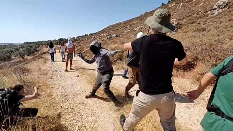 image for Israeli settlers attack foreign activists and Palestinian farmers in West Bank