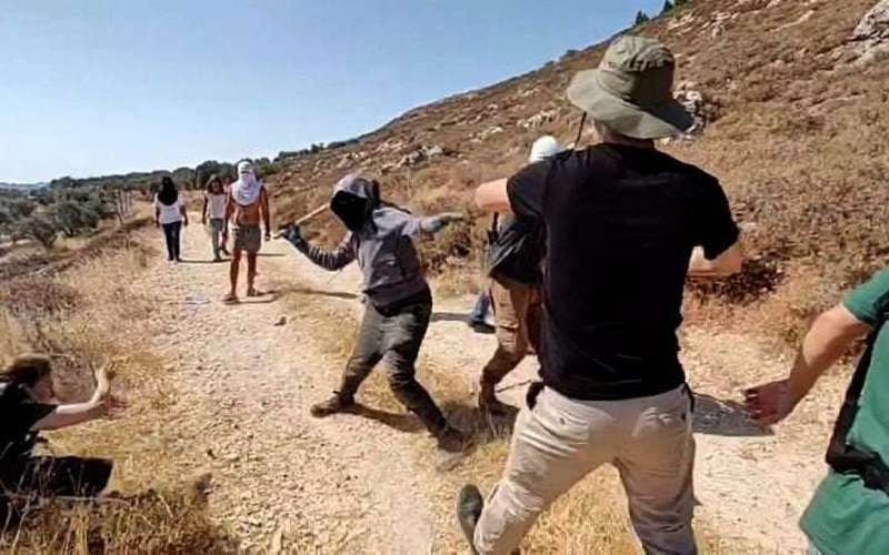 image for Israeli settlers attack foreign activists and Palestinian farmers in West Bank