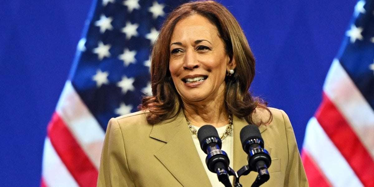 image for Kamala Harris raises $50 million on first day of campaign, inciting what ‘might be the greatest fundraising moment in Democratic Party history’