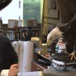 image for Trump recoils from bald eagle