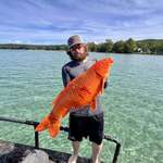 image for Bowfishers remove massive invasive koi from northern Michigan lake