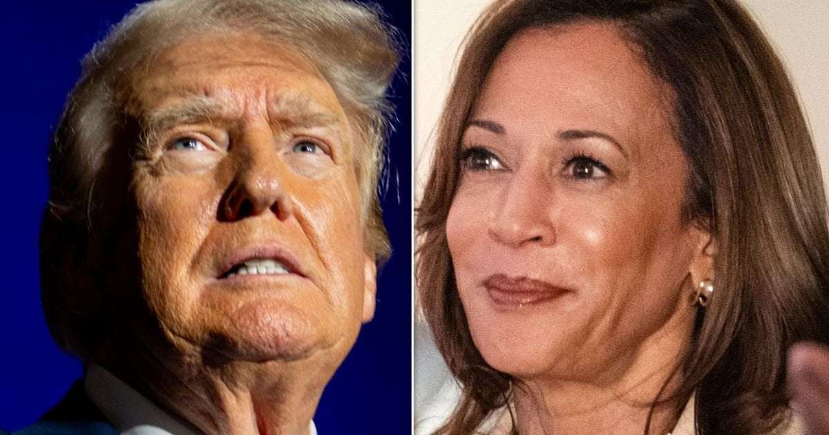 image for ‘I Approve This Message’: Kamala Harris Instantly Uses Trump’s Own Words Against Him