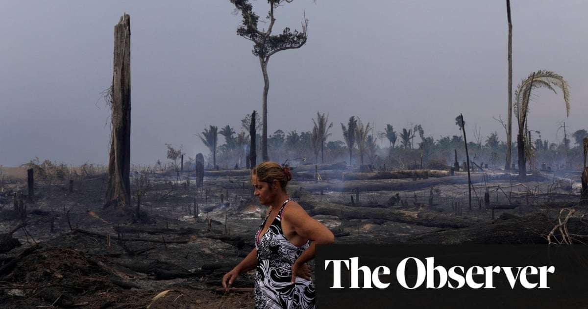 image for ‘Morally, nobody’s against it’: Brazil’s radical plan to tax global super-rich to tackle climate crisis