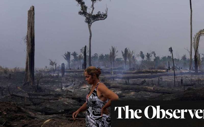 image for ‘Morally, nobody’s against it’: Brazil’s radical plan to tax global super-rich to tackle climate crisis