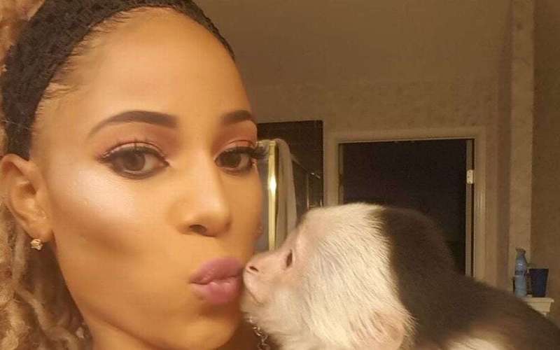 image for Texas football coach marries stripper nicknamed 'pole assassin' with pet monkey