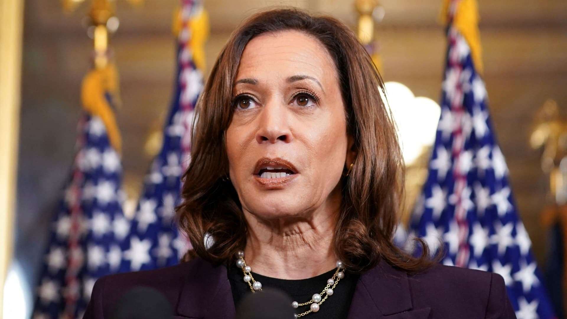 image for 'White Dudes for Harris' raise $3.5 million for Democrat's campaign against Trump