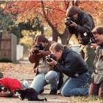 image for Paparazzi photograph Bill Clinton’s cat. 1992