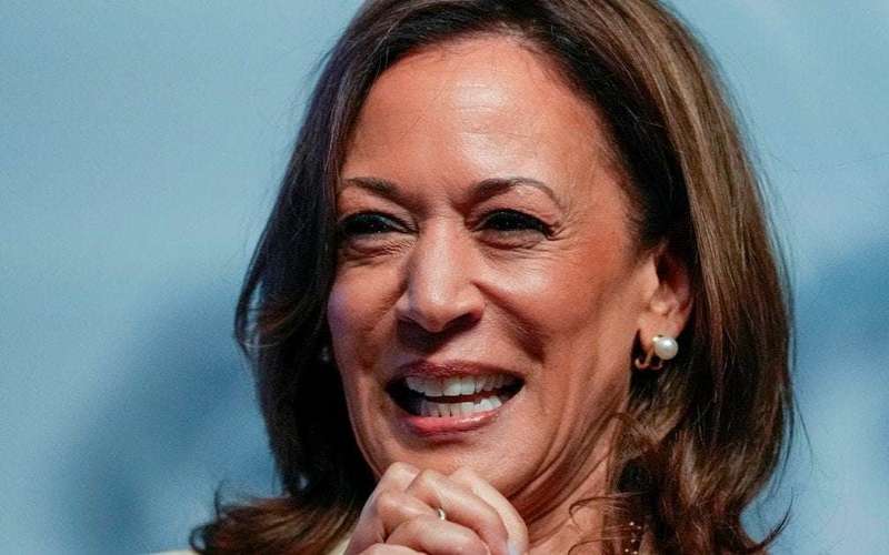 image for Harris officially has no challengers for Democratic nomination