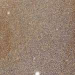 image for 500 million stars in the Andromeda galaxy. Surely there is life in one of them..