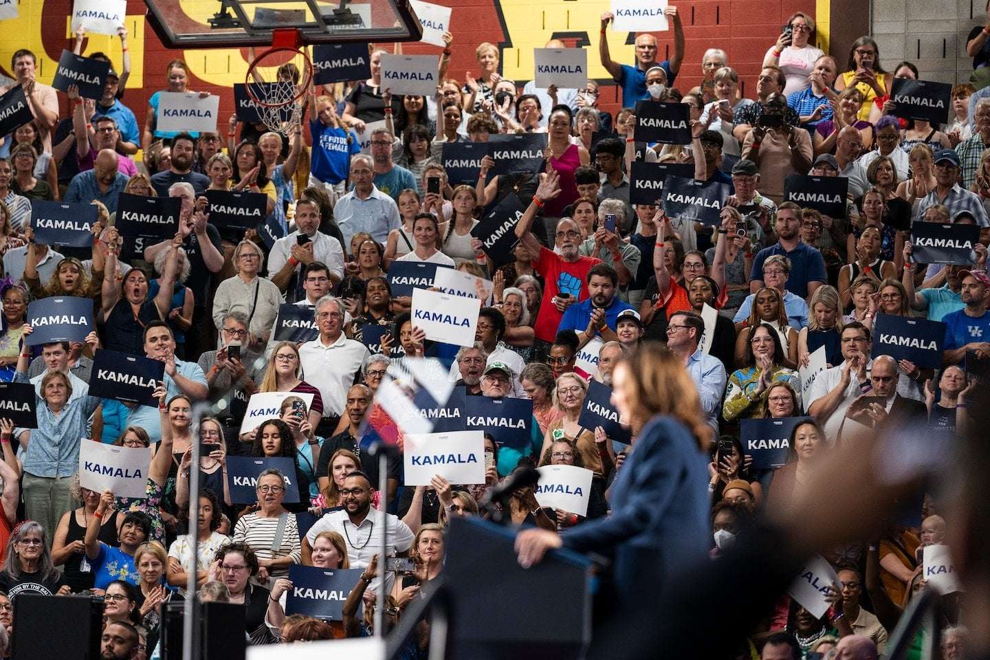 image for X suspends ‘White Dudes for Harris’ account after massive fundraiser