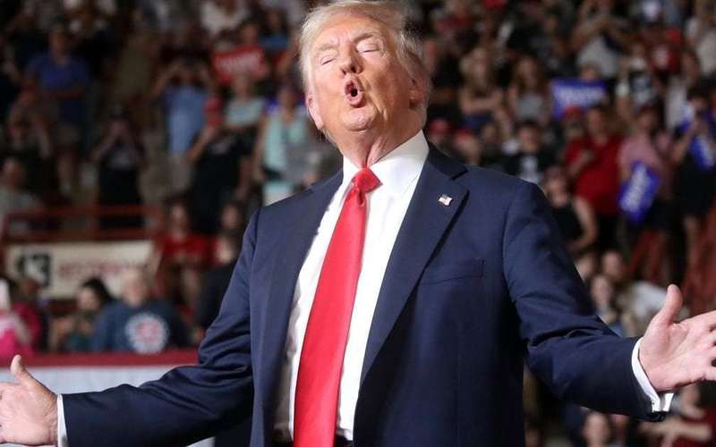 image for Critics Stunned By Trump’s ‘Heartless’ Punch Line About Man Killed At His Rally