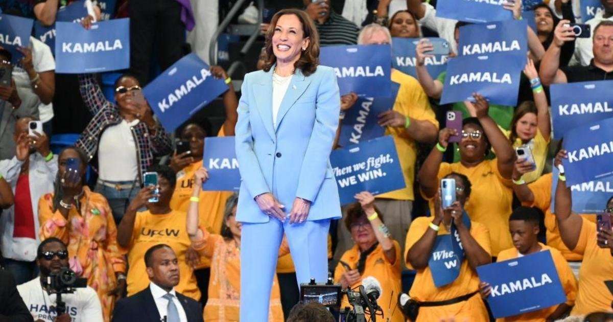 image for DNC kicks off virtual roll call vote to formally nominate Kamala Harris for president