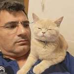 image for Turkish Olympian shooter Yusuf Dikec with his cat
