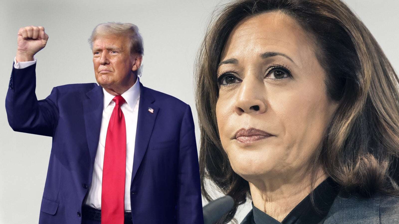image for Trump Doubles Down on the Non-Existence of Biracial People