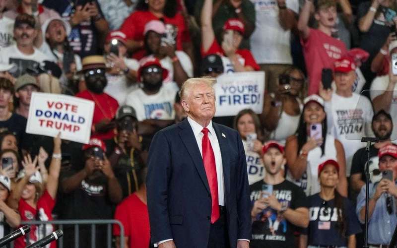 image for Donald Trump Has Nothing Else