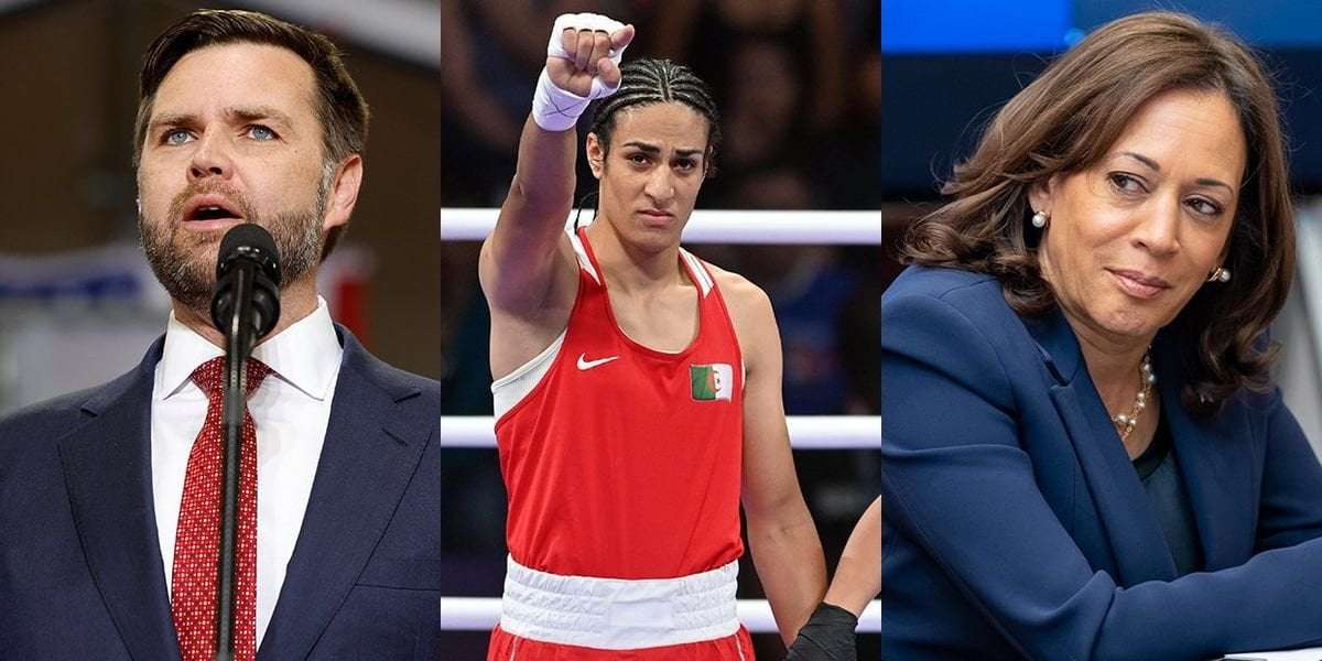 image for JD Vance falsely accuses Algerian Olympic boxer of being transgender & weirdly blames Kamala Harris