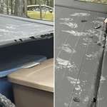 image for Raccoons are trying to break into Cybertrucks, believing they are Dumpsters.