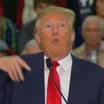 image for Trump mocking a reporter with disabilities.