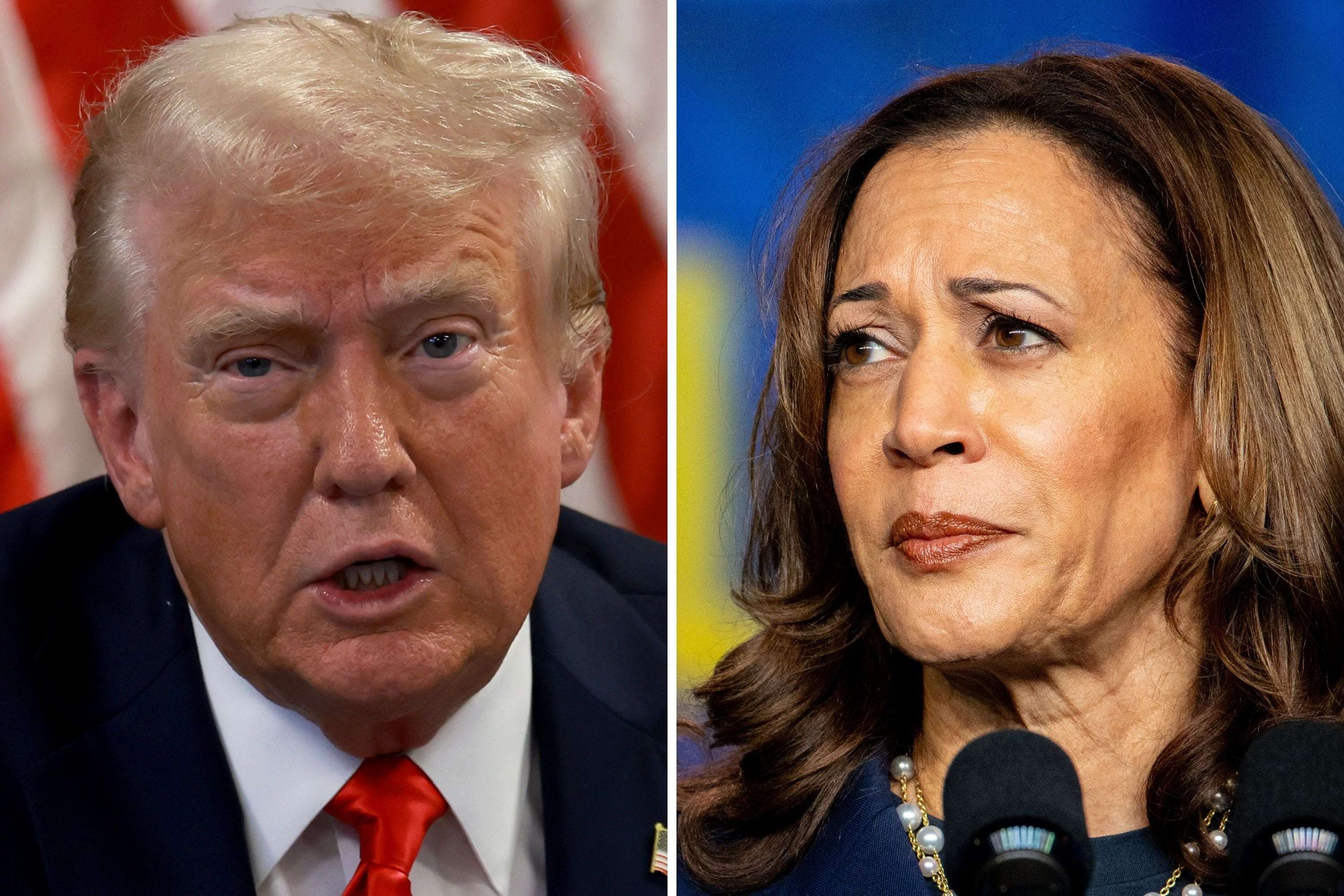 image for Kamala Harris Ties Donald Trump in State He Won in 2016 and 2020: Poll