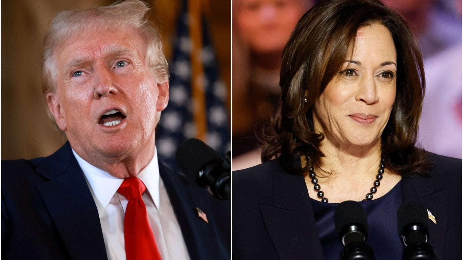 image for Trump Warns That if Kamala Harris Wins, ‘Everybody Gets Health Care’