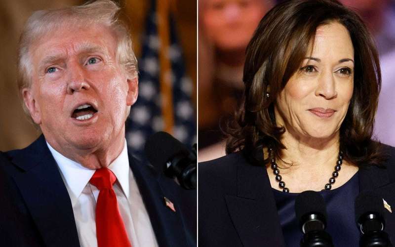 image for Trump Warns That if Kamala Harris Wins, ‘Everybody Gets Health Care’